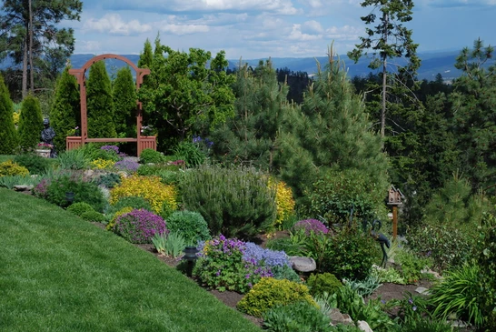 Jardin paysager en terrasses avec massifs colorés de vivaces, arbustes ornementaux et conifères